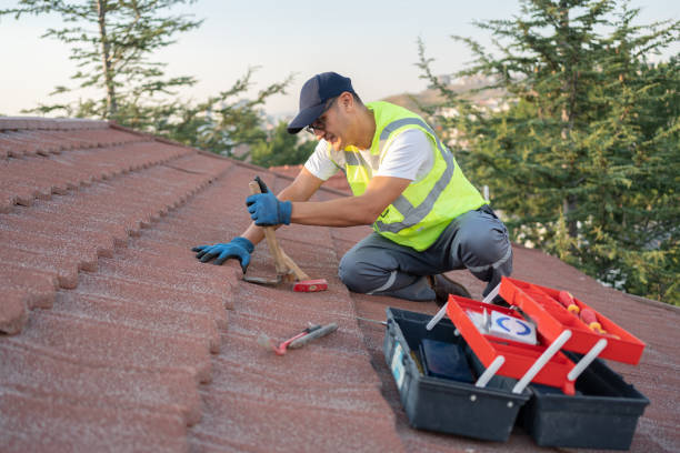 Best Metal Roofing Contractor  in Lorane, PA